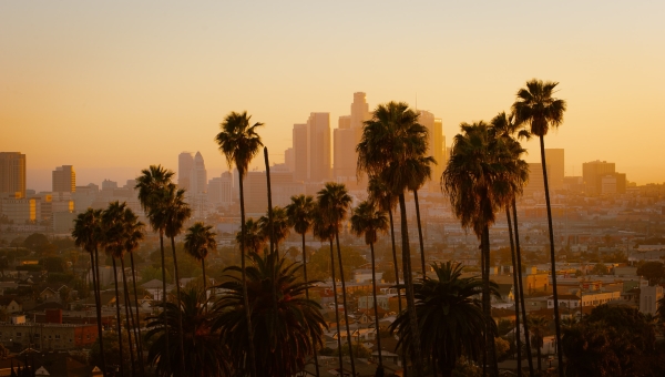 Why Should you Visit Los Angeles (Is LA Worth Visiting)? 