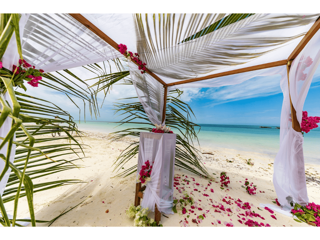 Is Zanzibar a Good Honeymoon Destination? Is it Safe to Visit Zanzibar?