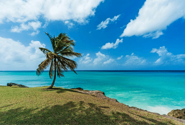 Barbados_Sights_Palm_Beach_Sea.png