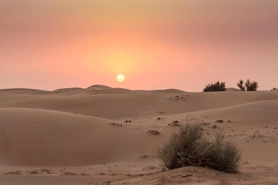 Dubai_Sand.png