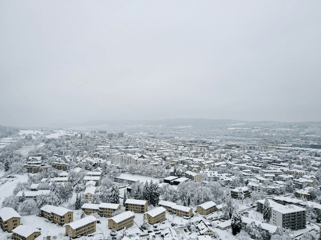 Zurich Winter