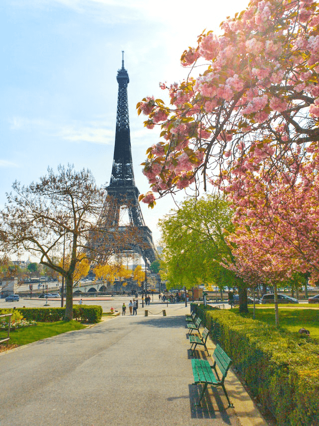 Best Time to Visit Paris Travel Guide