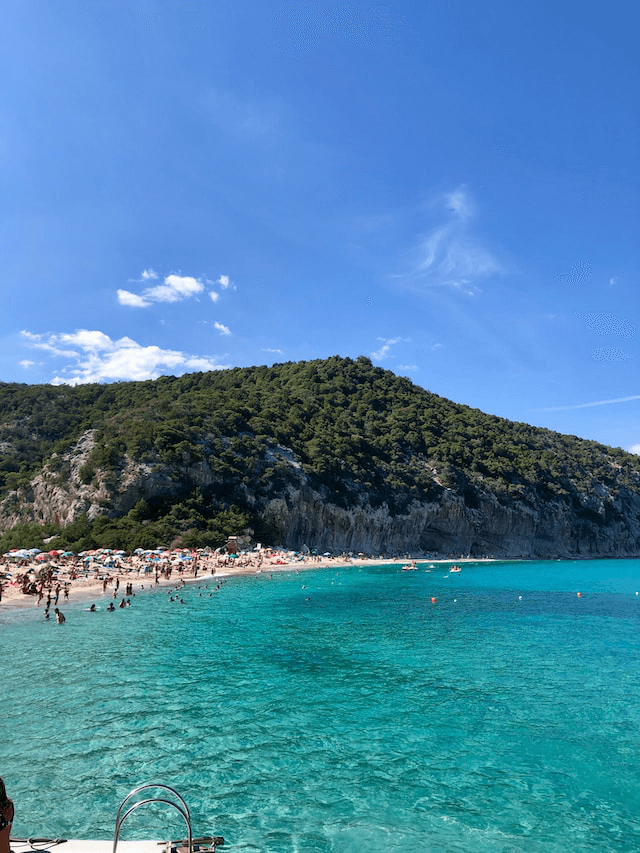 Asinara Sardinia Best Boat Trips