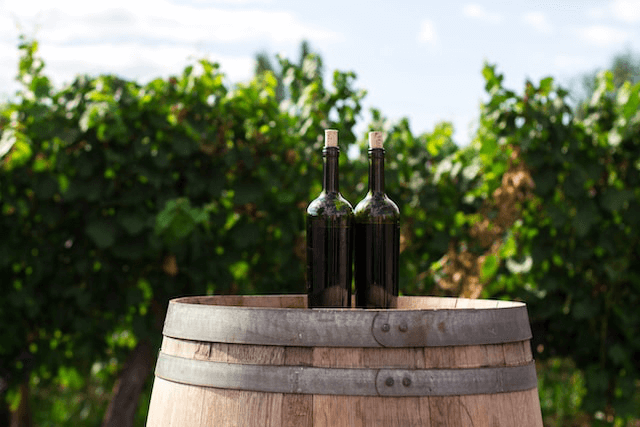 Wine Sardinia Travel Guide