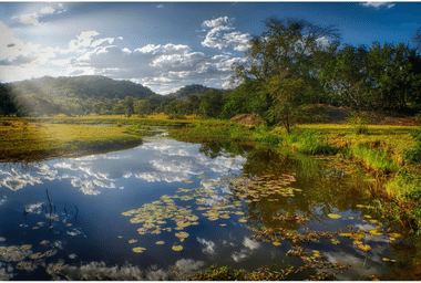 National_park_Zimbabwe.png